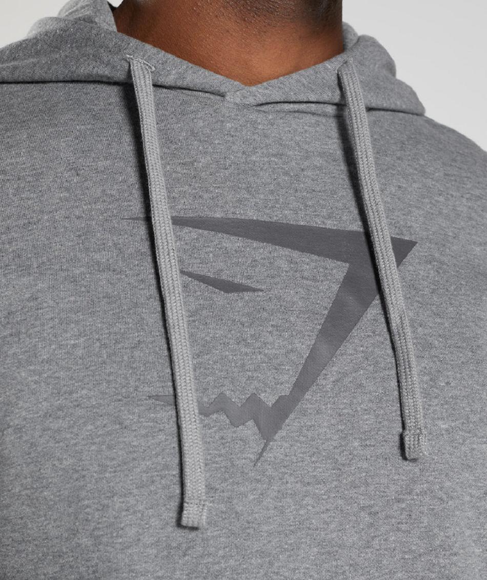 Gymshark Sharkhead Infill Muške Majica S Kapuljačom Sive | HR 2731RVD